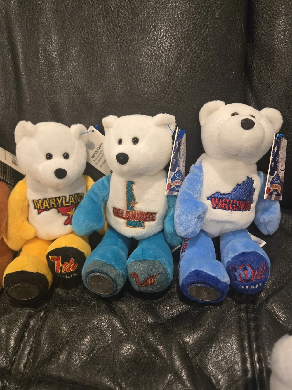 Limited Edition State Quarter Coin Bears – Collectible Plush- Like New - Picture 8 of 12